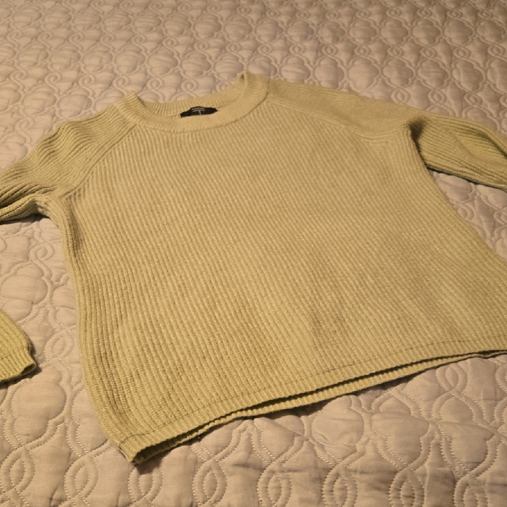 Tahari Light Green  Crew Neck Sweater